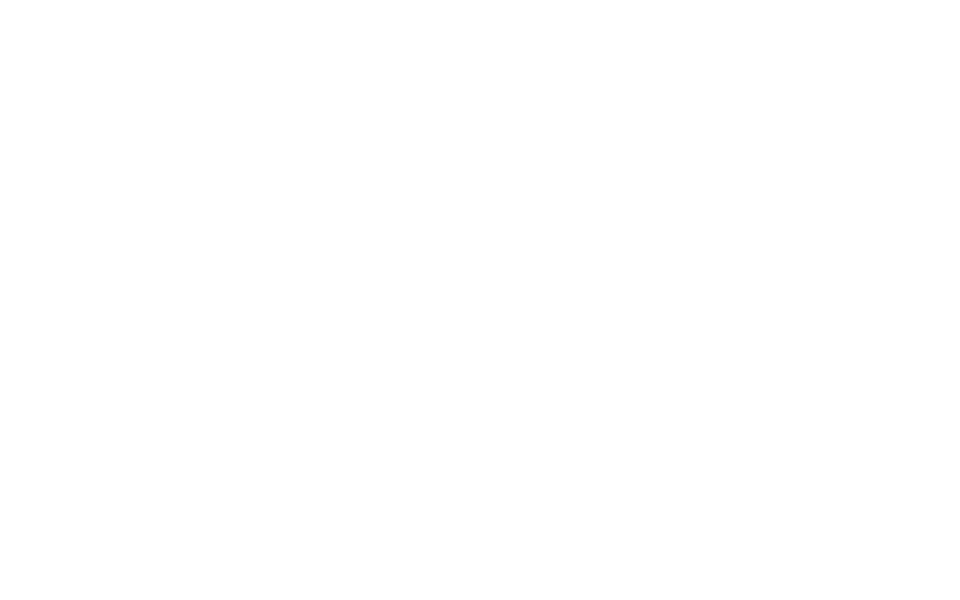 WE ARE THE FUTURE